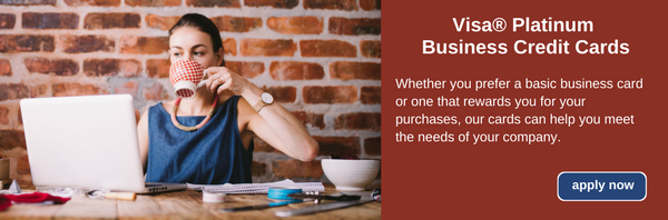 Visa Platinum Business Credit Card Banner