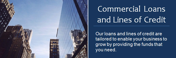 Commercial Loans